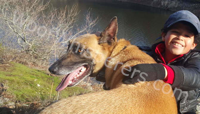 Dog2